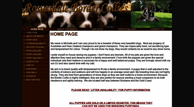 bordercollies.com.au