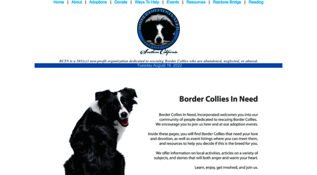 bordercolliesinneed.org