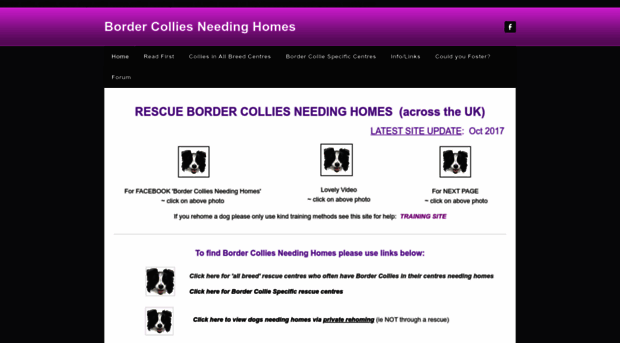 bordercolliesneedinghomes.weebly.com