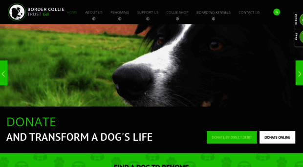 bordercollietrustgb.org.uk