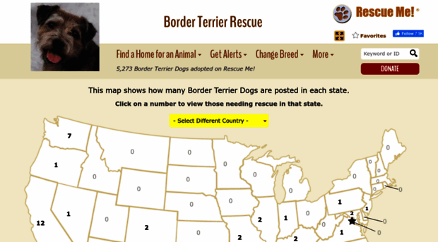 borderterrier.rescueme.org