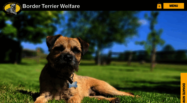 borderterrierwelfare.co.uk