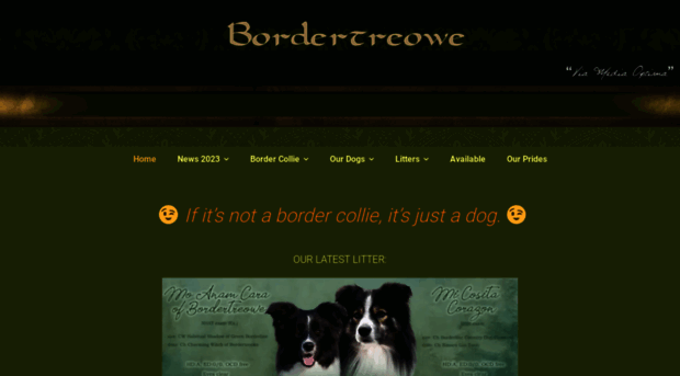 bordertreowe.com