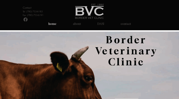 bordervetclinic.com