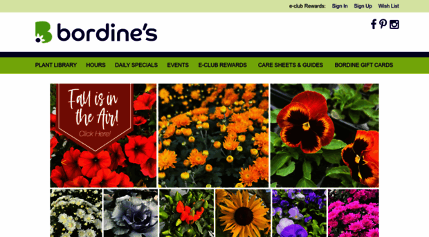 bordines.com