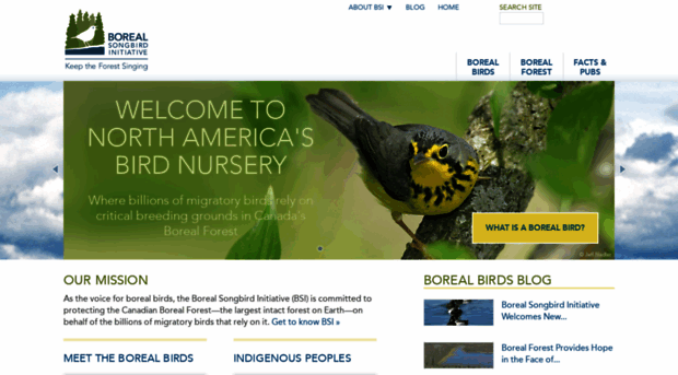 borealbirds.org