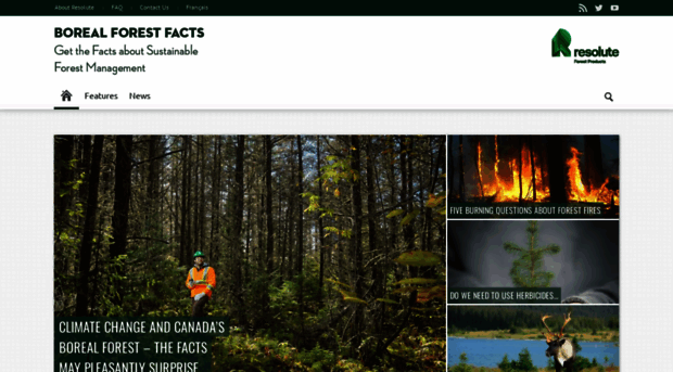 borealforestfacts.com