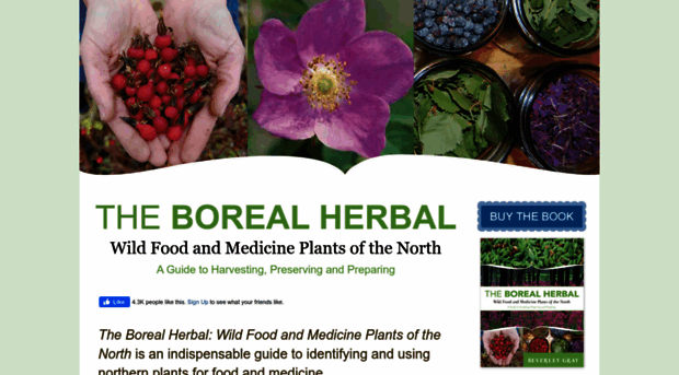 borealherbal.com