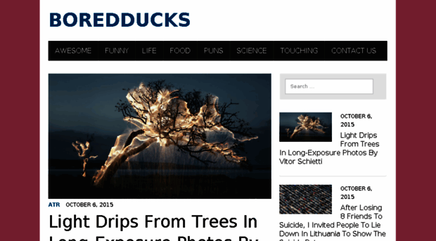 boredducks.com