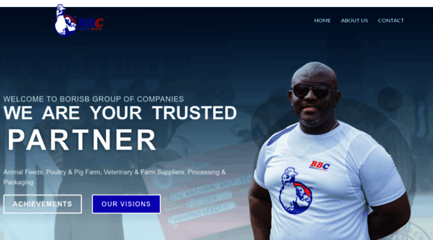borisbgroup.com