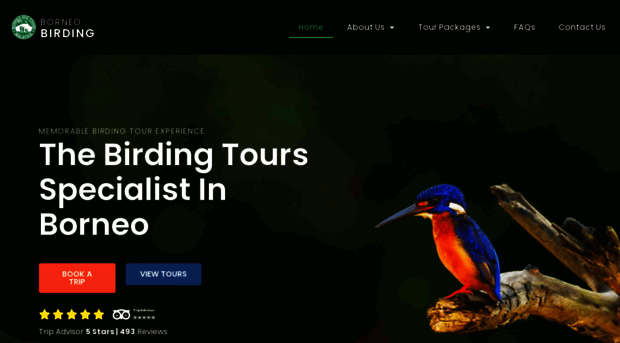 borneobirding.com