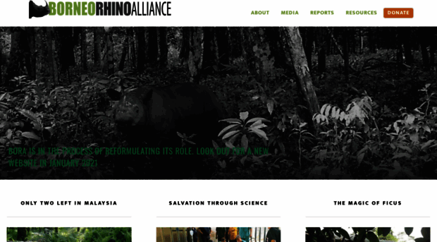 borneorhinoalliance.org