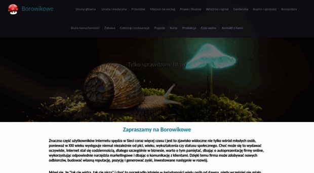 borowik.net.pl