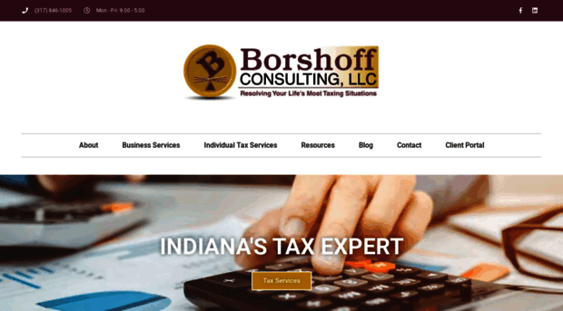 borshoffconsulting.com