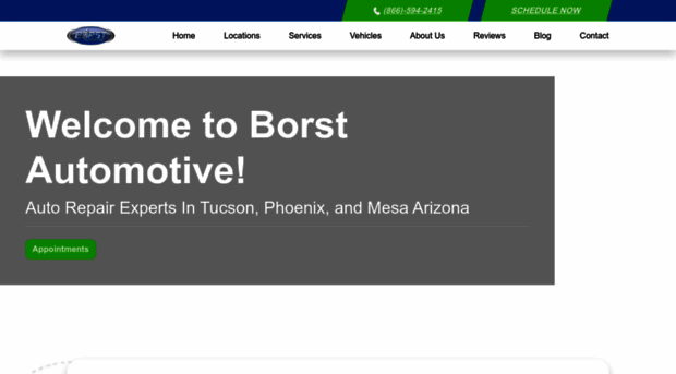 borstautomotive.com