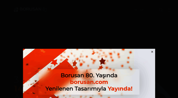 borusan.com.tr