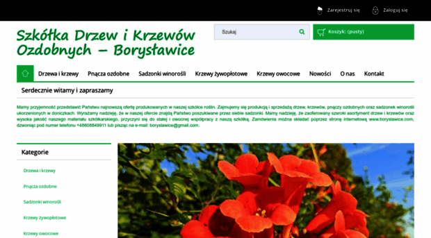 boryslawice.com