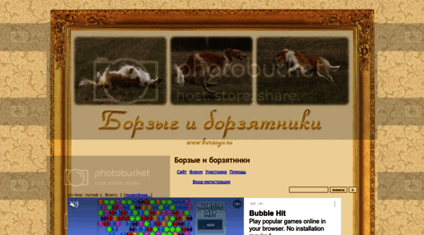 borzenkie.borda.ru