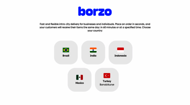 borzodelivery.com