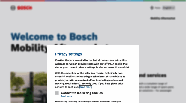 boschesitronic.com