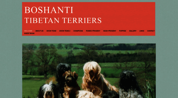 boshanti.co.uk