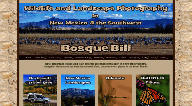 bosquebill.com