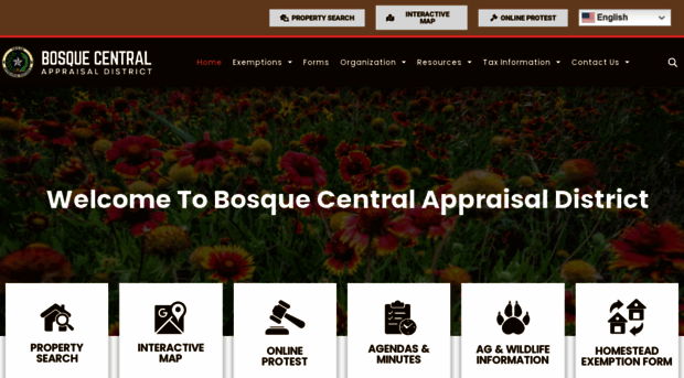 bosquecad.com