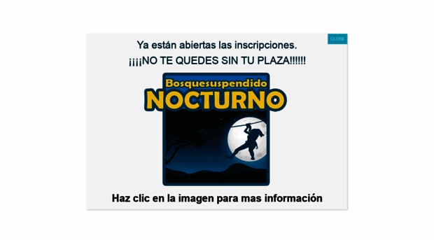 bosquesuspendido.com