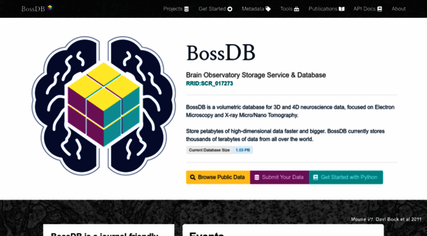 bossdb.org