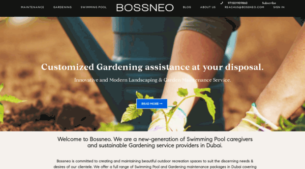 bossneo.com