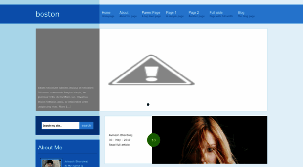 boston-besttheme.blogspot.com