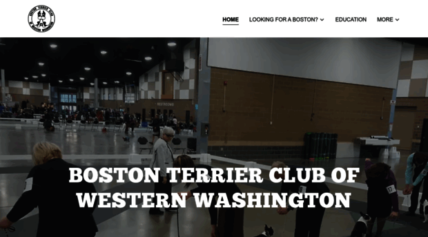 bostonbarker.com