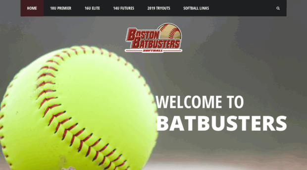 bostonbatbusters.com