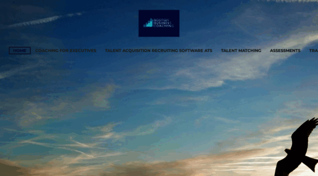 bostonbusinesscoaching.com