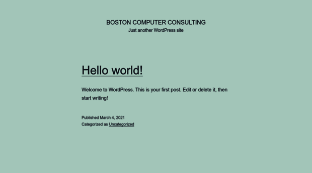bostoncomputerconsulting.com