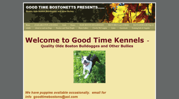 bostonetts.com