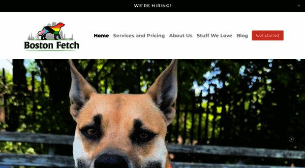 bostonfetch.com