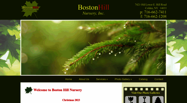 bostonhillnursery.com