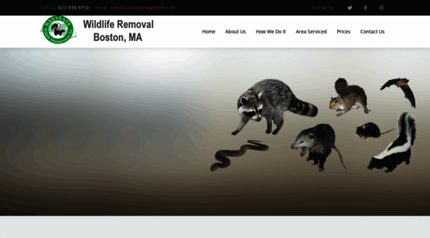 bostonpestwildlife.com