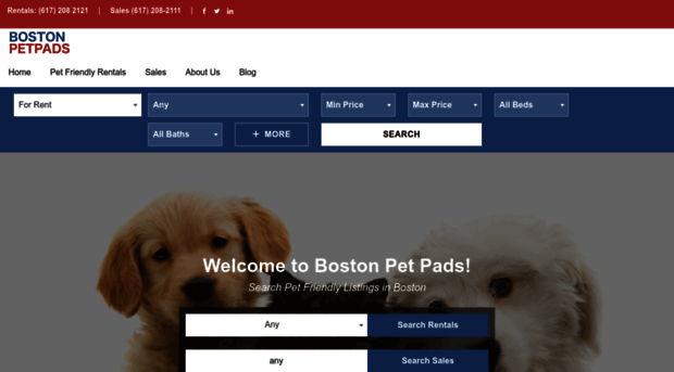 bostonpetpads.com