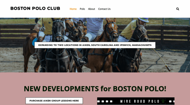 bostonpolo.org