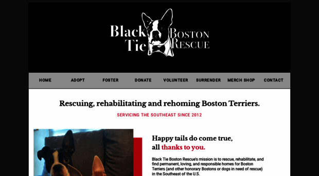 bostonrescueteam.com