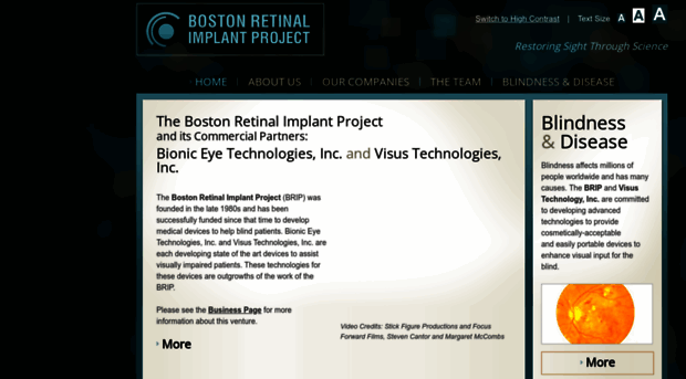 bostonretinalimplant.org