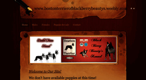 bostonterrierofblackberrybeautys.weebly.com