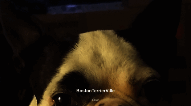 bostonterrierville.com