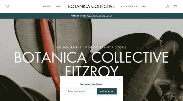 botanicacollective.com