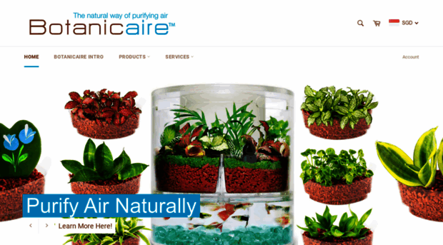 botanicaire.com