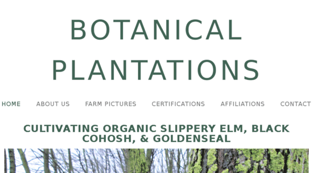 botanicalplantations.com