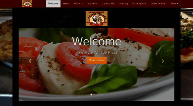 botanyvillagepizza.com