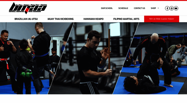 bothellmartialartsacademy.com